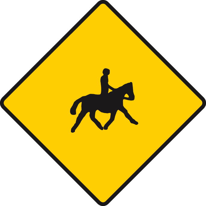 Horses or ponies