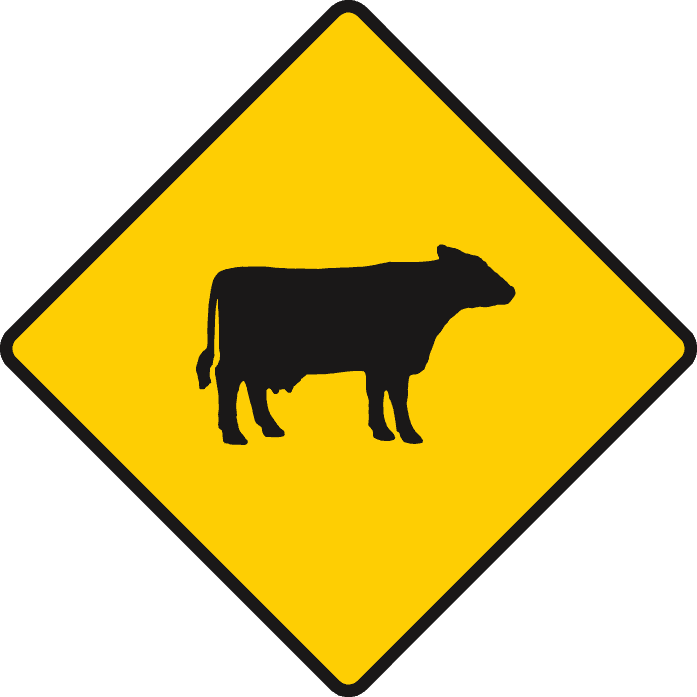 Cattle or farm animals