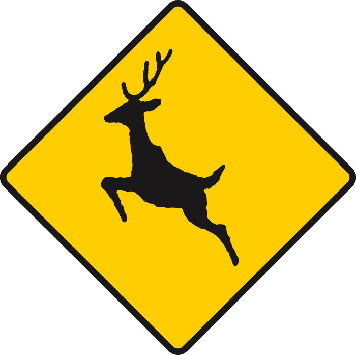 Deer or wild animals
